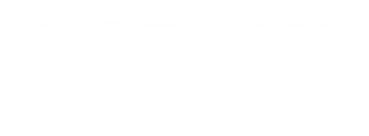 The Observer Tully Law Group